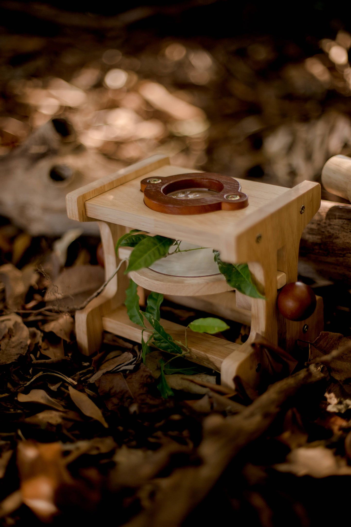 Wooden Microscope for Kids
