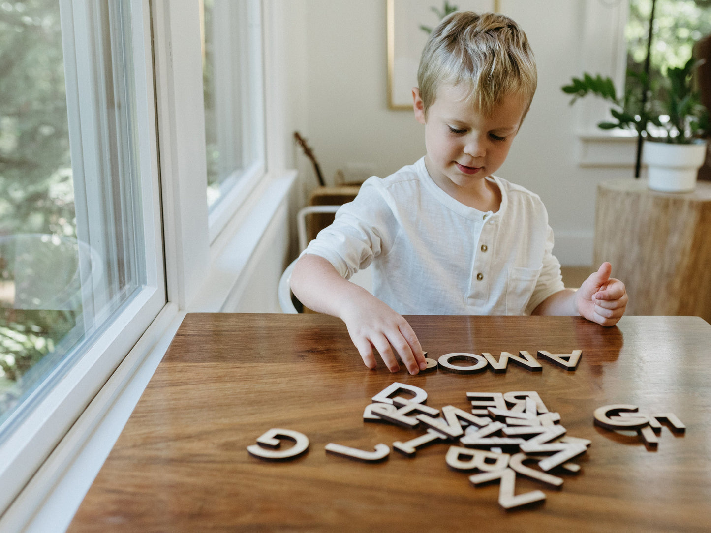 Wooden Alphabet Set Wood Letters & Movable Alphabet in Maple