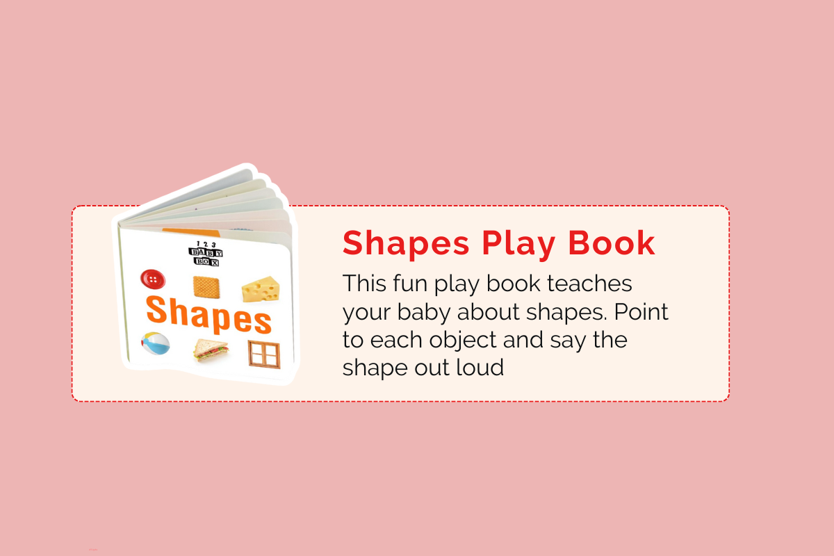 Montessori Educational Box (9-10 Months)