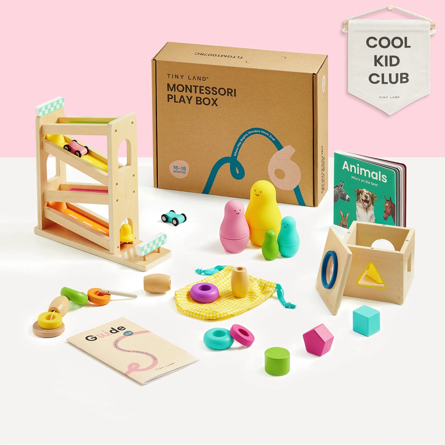 Montessori Toy Kit for 16–18 Months