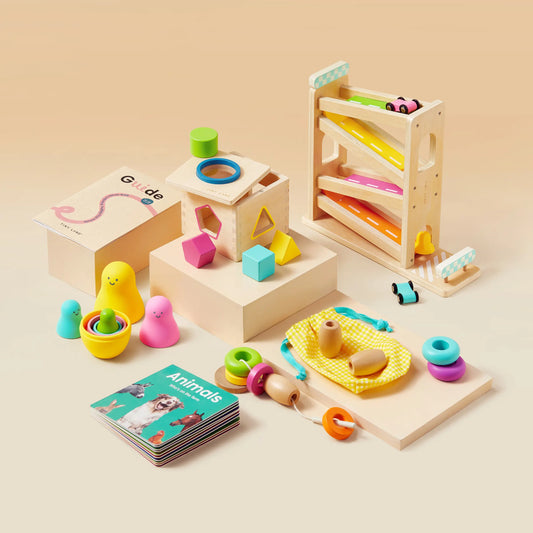 Montessori Toy Kit for 16–18 Months
