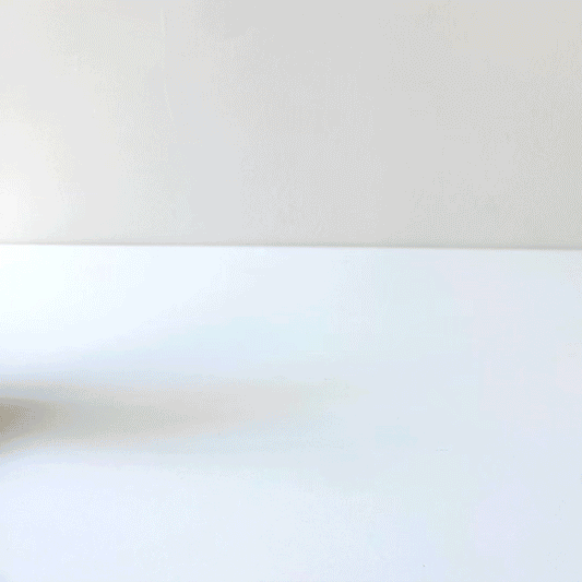 Bunny Push Toy by Wee Gallery