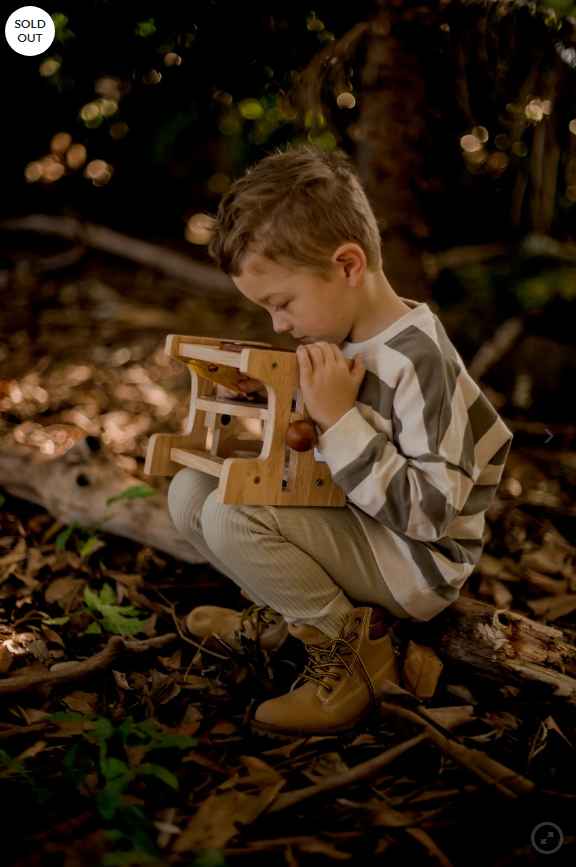 Wooden Microscope for Kids