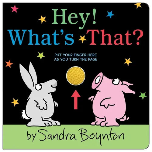Hey! What's That? - Board Book