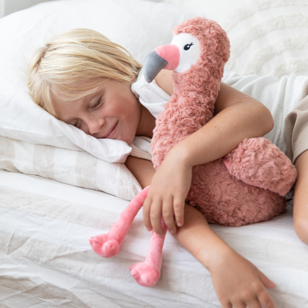 Francesca The Weighted Flamingo