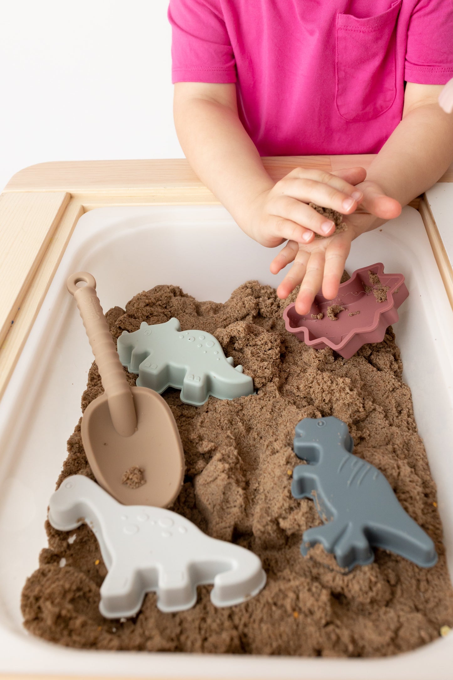 Ainsley's Dinosaur Silicone Beach Toy Set