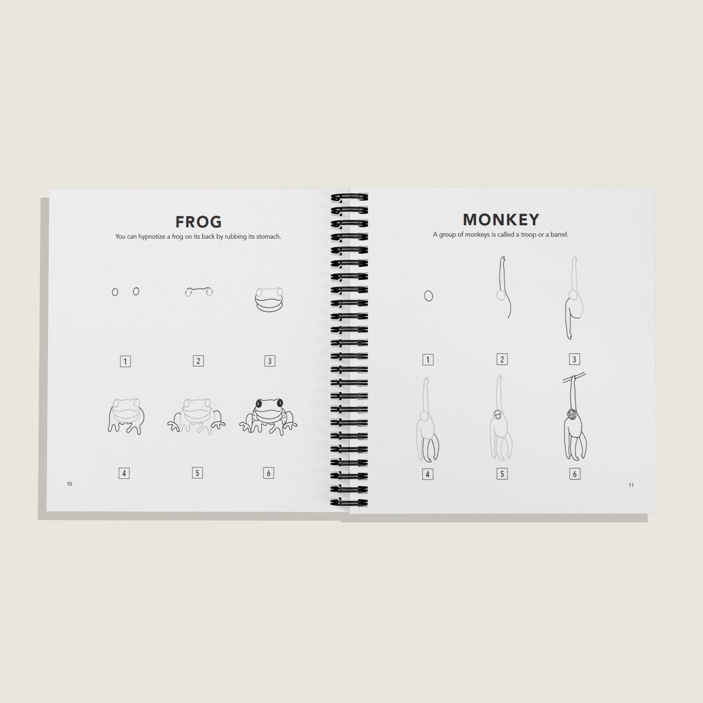 How to Draw All the Animals (Spiral)