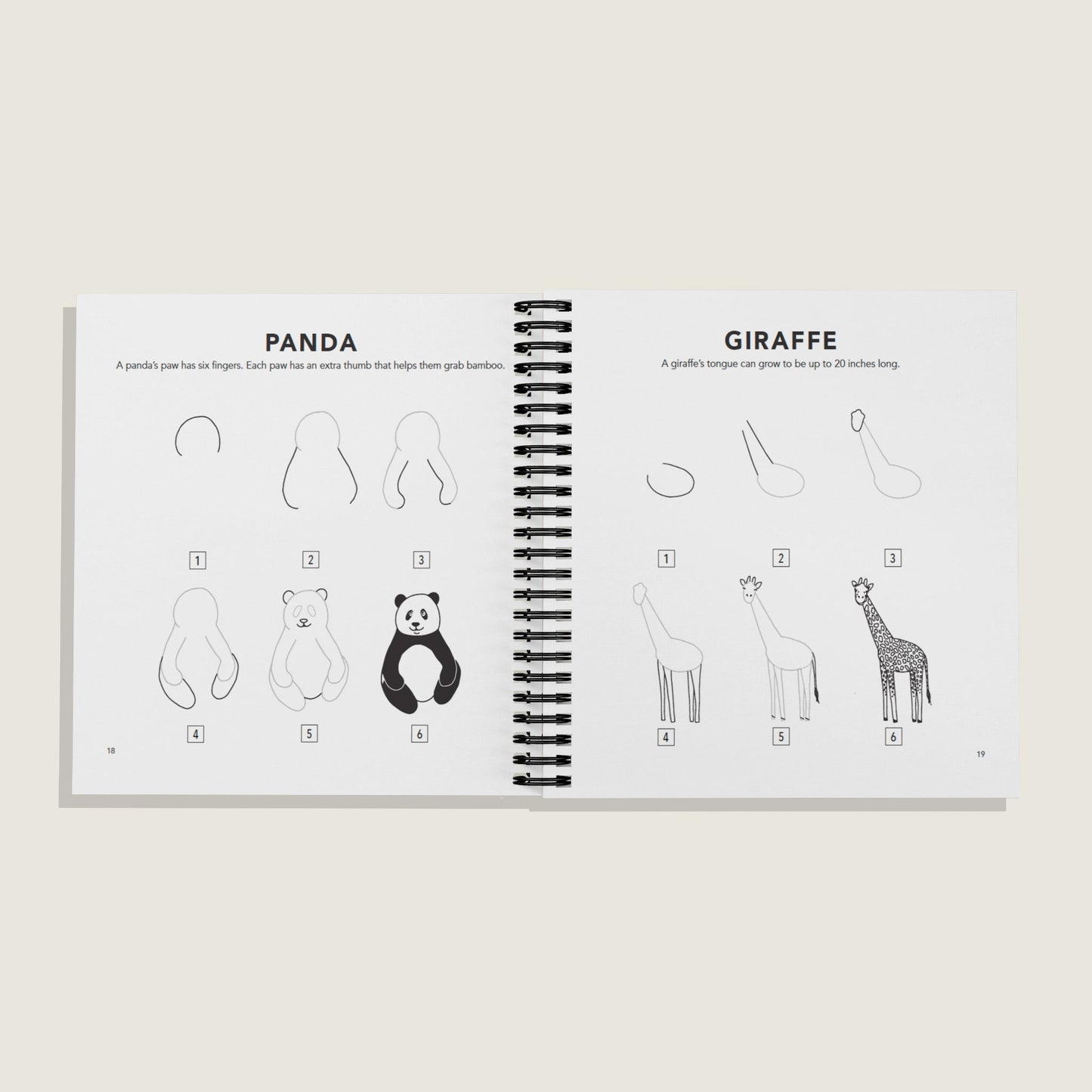 How to Draw All the Animals (Spiral)