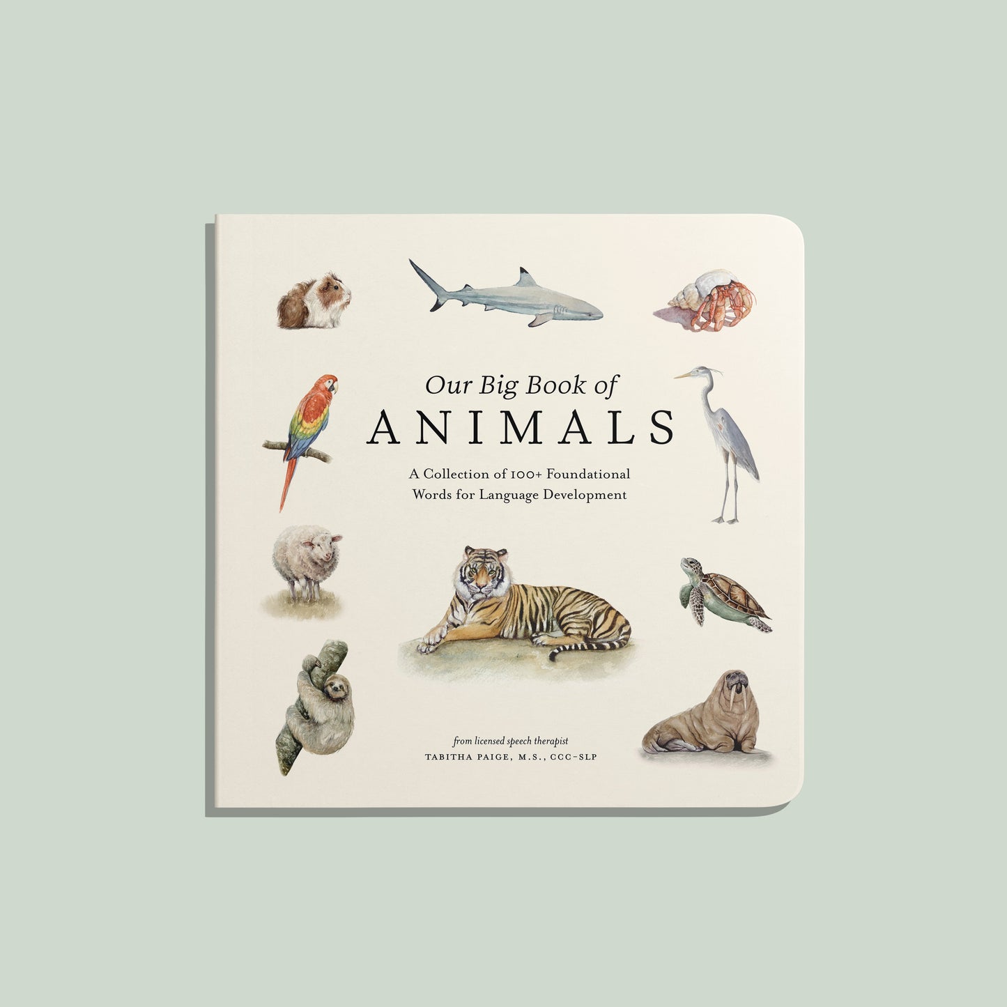 Our Big Book of Animals
