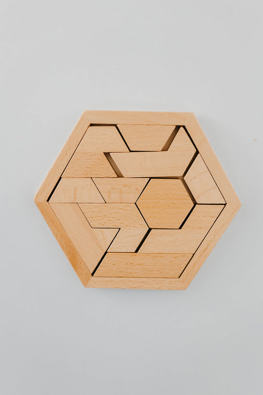 Hexagon Brain Teaser Puzzle