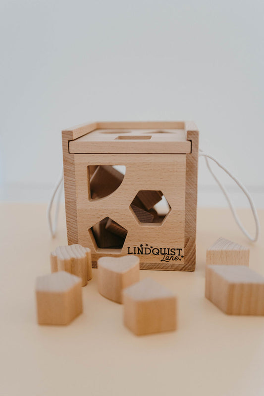 Solid Wood Intelligence Shape Sorting Box
