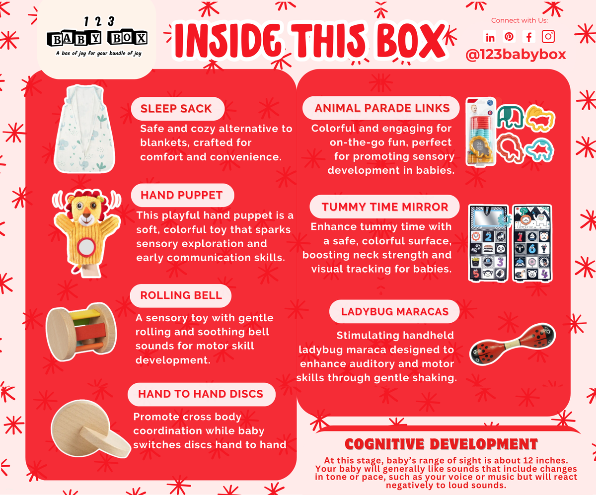 Montessori Educational Box (3-4 Months)