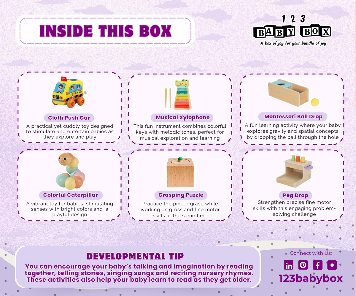 Montessori Educational Box (11-12 months)