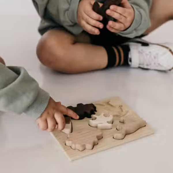 Dinosaur Wooden Puzzle with Chunky Pieces
