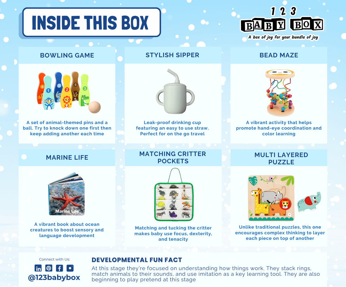 Montessori Educational Box (19-21 Months)