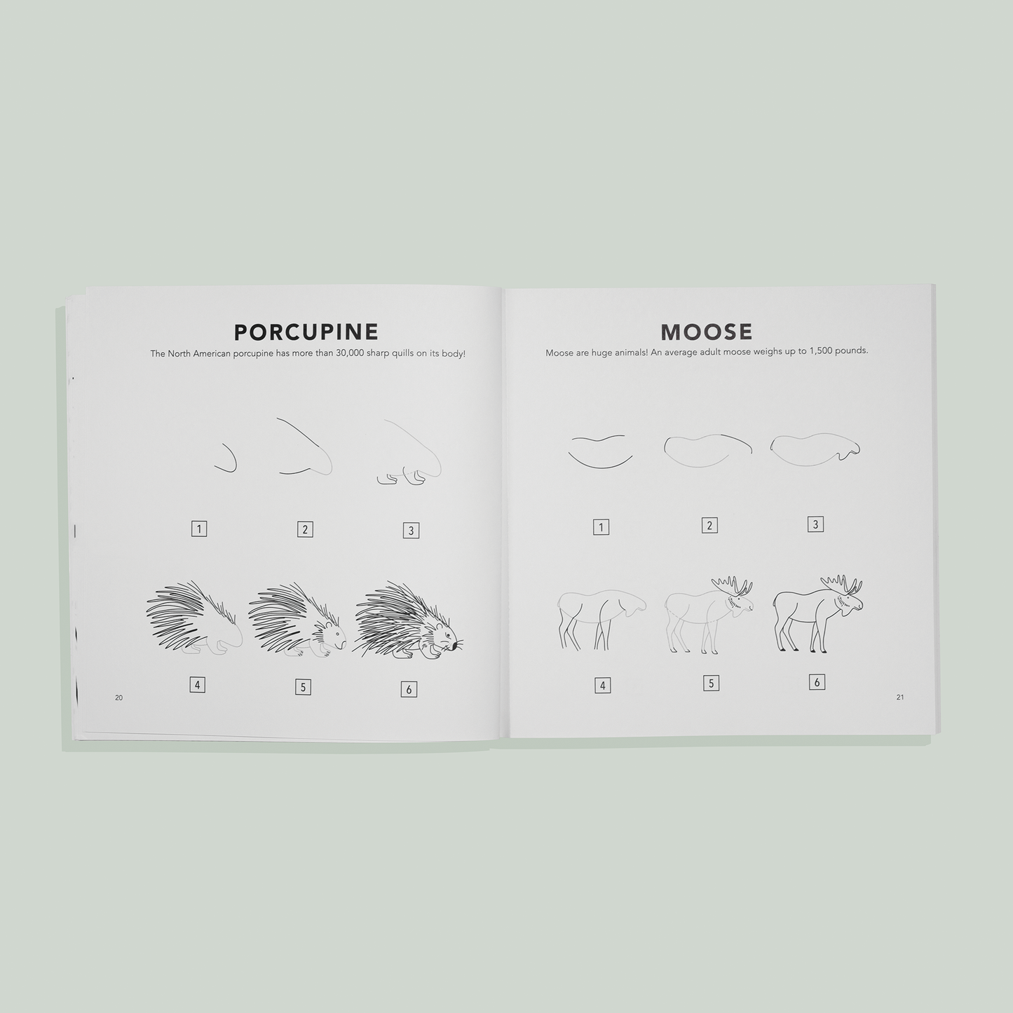 Mushrooms & Woodland Creatures: How to Draw Books for Kids with Woodland Creatures, Bugs, Plants, and Fungi