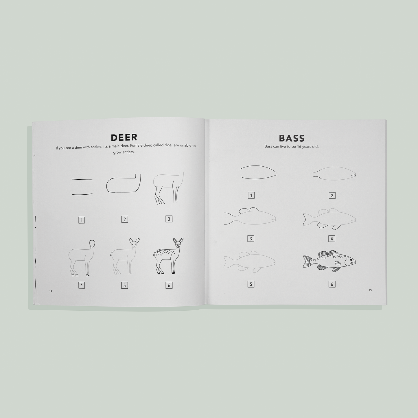 Mushrooms & Woodland Creatures: How to Draw Books for Kids with Woodland Creatures, Bugs, Plants, and Fungi