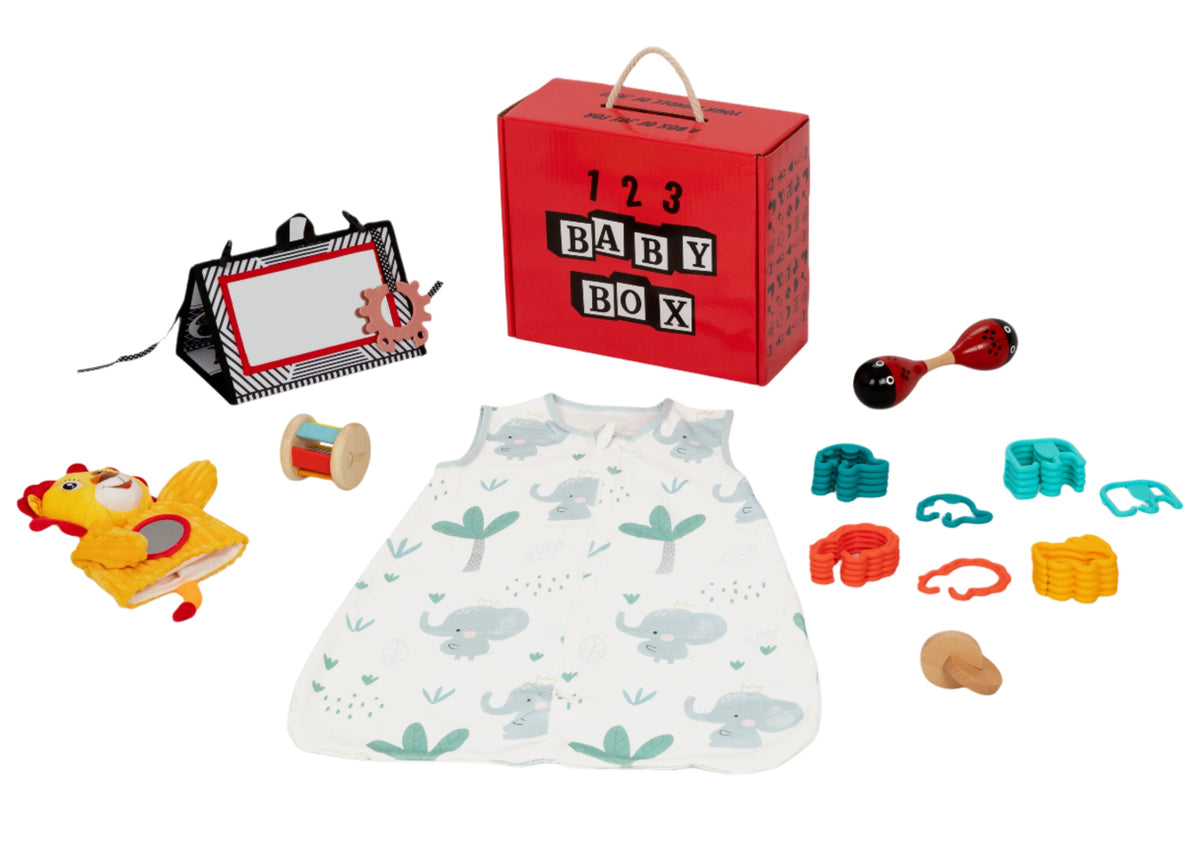 Montessori Educational Box (3-4 Months)