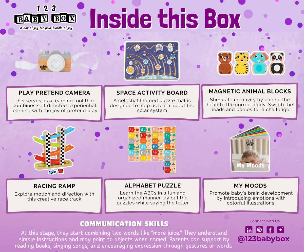 Montessori Educational Box (16-18 Months)