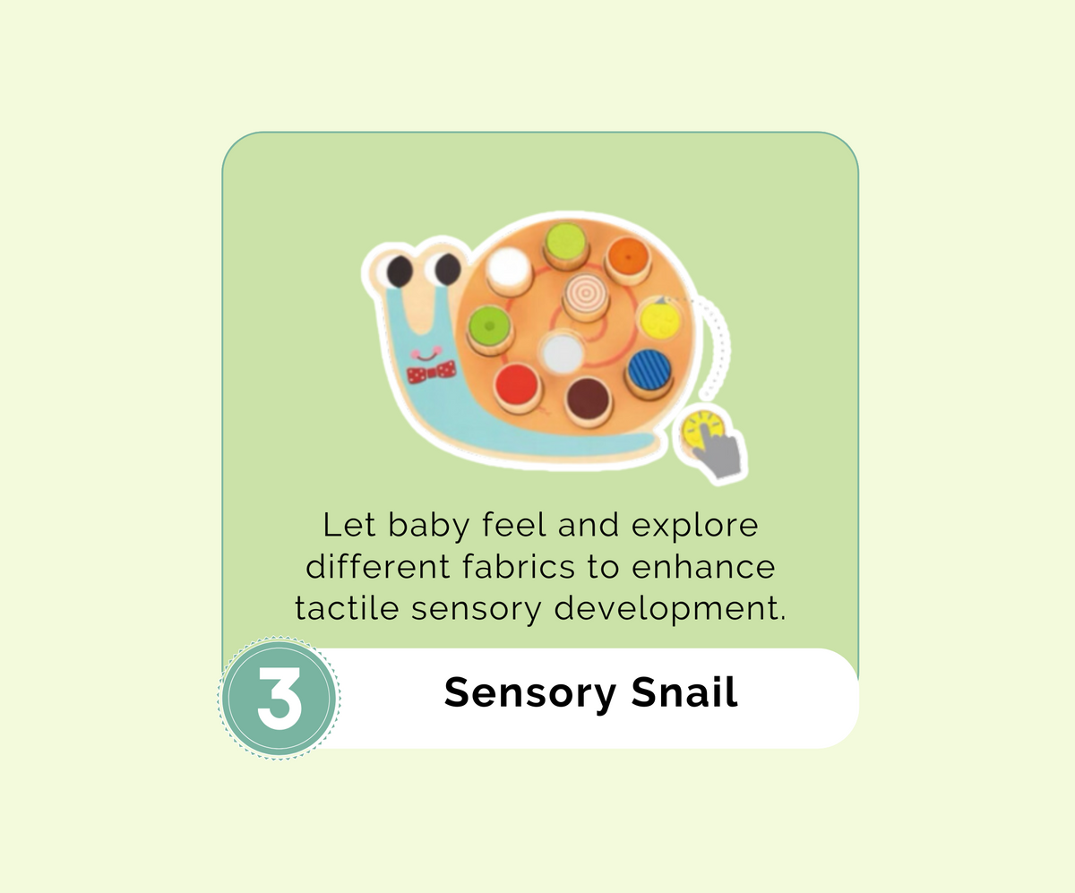 Montessori Educational Box (7-8 months)
