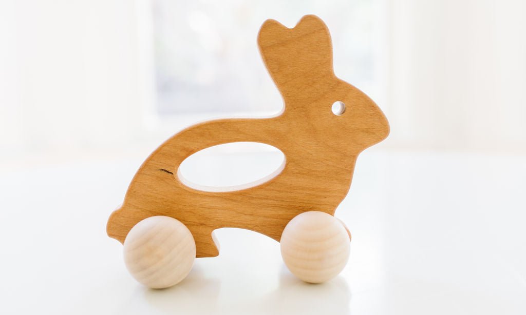 Bunny Push Toy