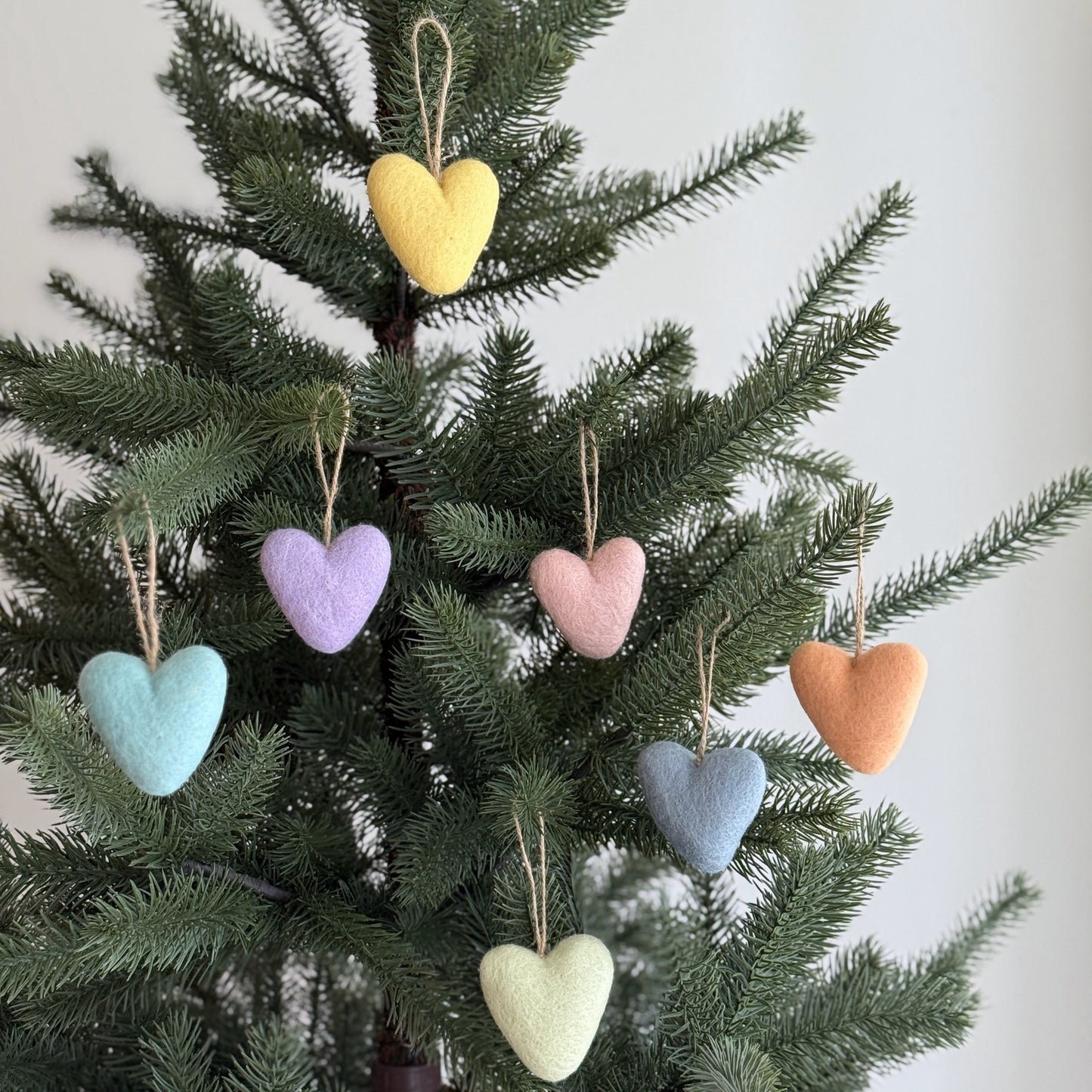 Felt Heart Ornament - Rainbow Set of 7