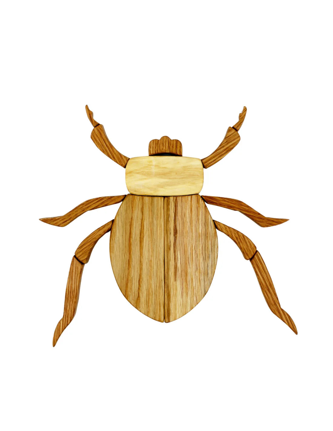 Imagine a Bug Natural Wood Set