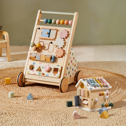 Complete Development Playset — Baby Walker + Activity Cube